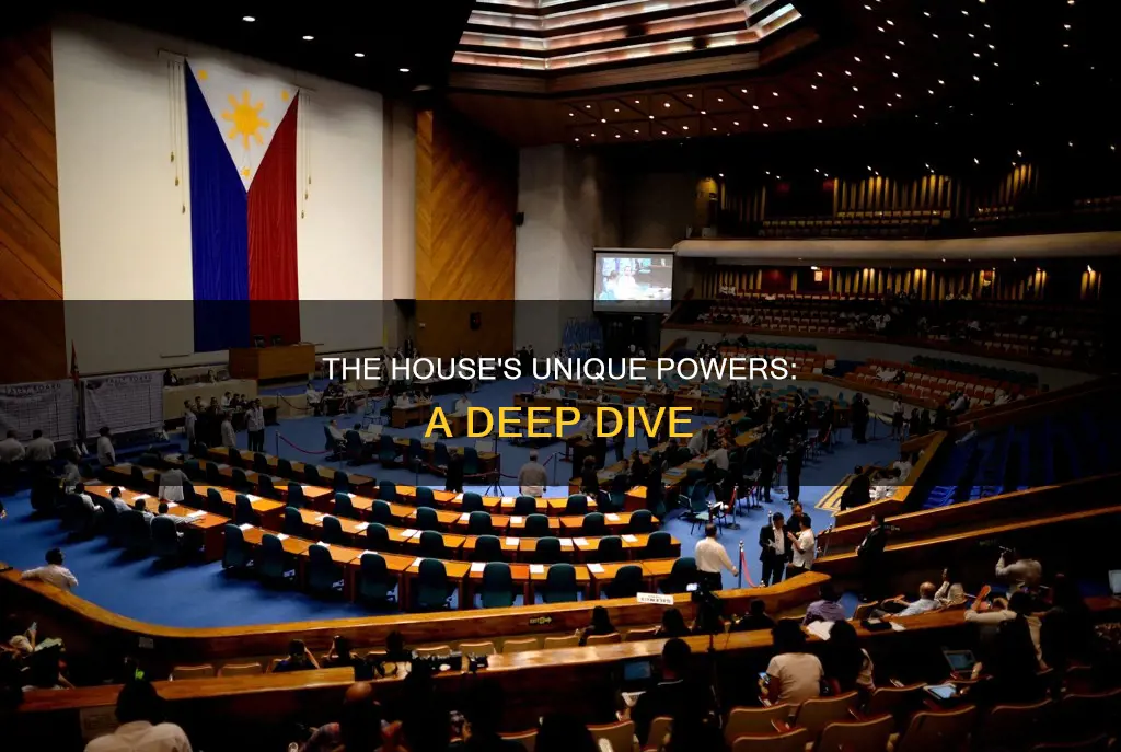 what are the special powers of the house of representatives