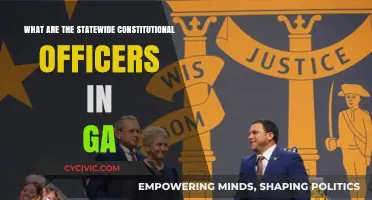 Who Are Georgia's Statewide Constitutional Officers?