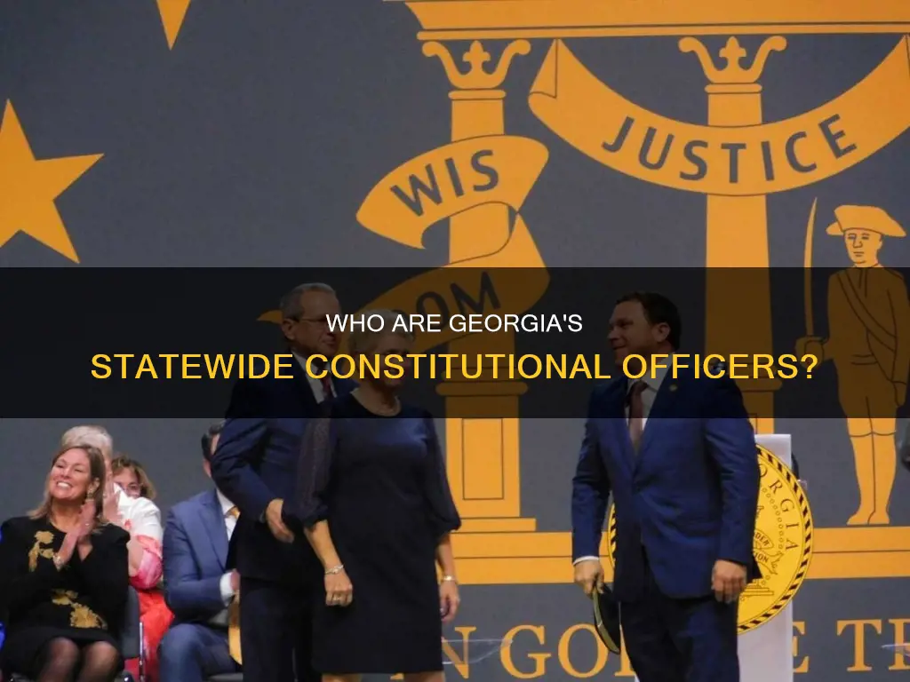 what are the statewide constitutional officers in ga
