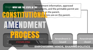 Amending the Constitution: Steps to Change