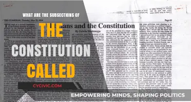 Understanding the Constitution: Exploring Its Subsections