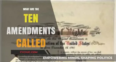 Amendments: The Bill of Rights