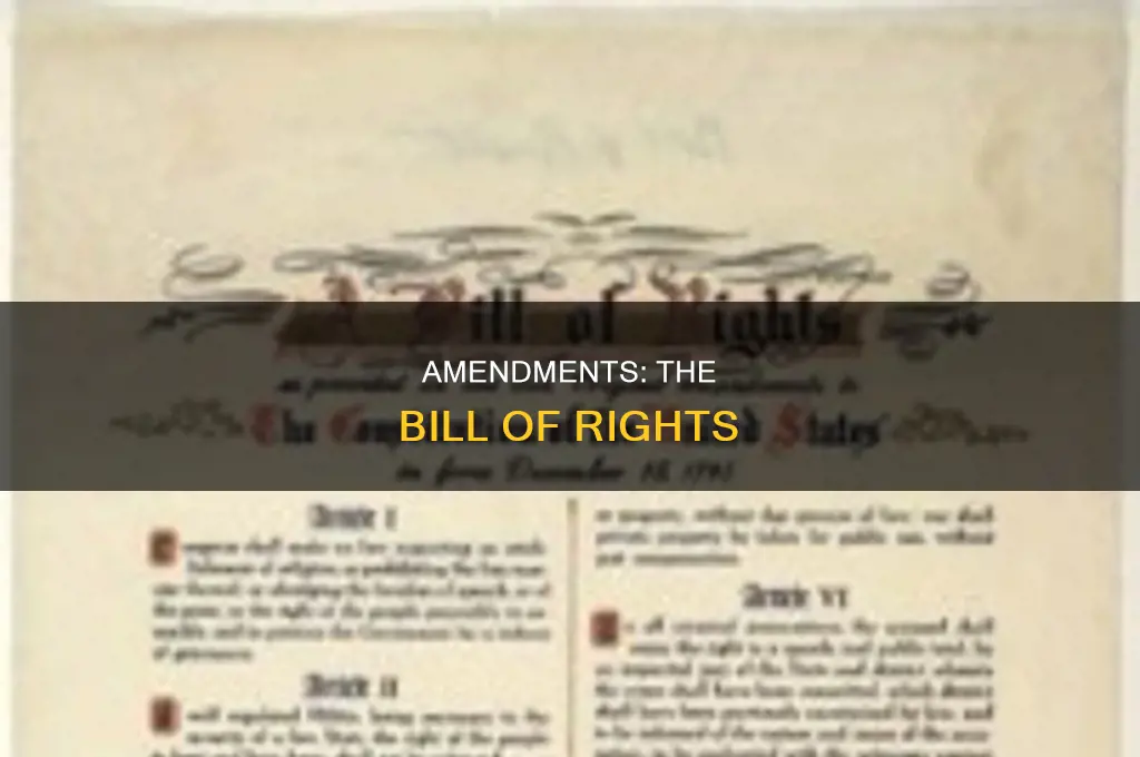 what are the ten amendments called