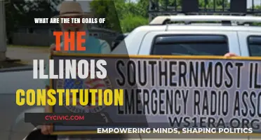 Illinois Constitution: 10 Key Goals and Objectives