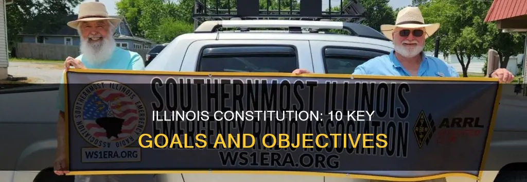 what are the ten goals of the illinois constitution