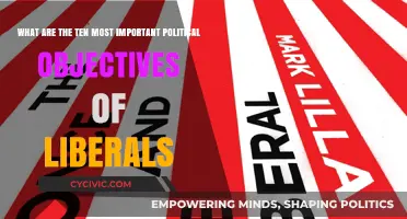 Liberal Agenda: Prioritizing Progress and Equality in Politics