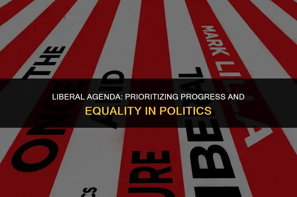 what are the ten most important political objectives of liberals