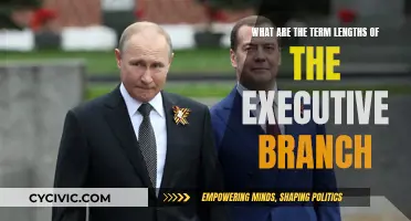 Executive Branch Term Limits: How Long Do They Last?