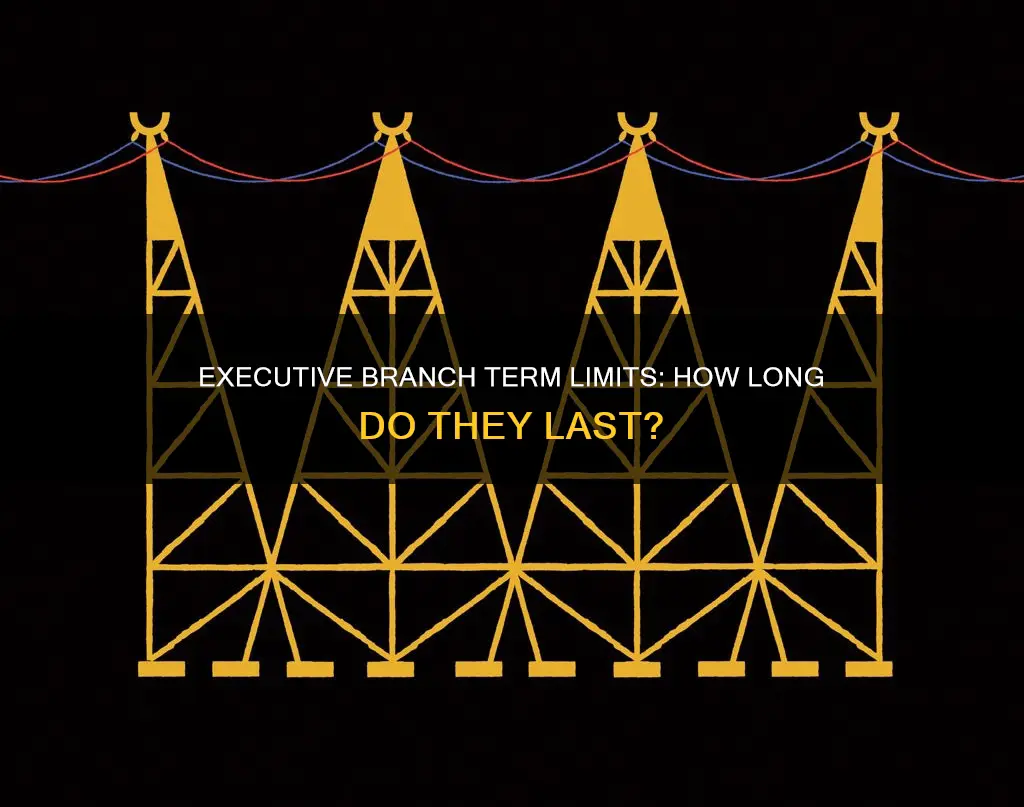 what are the term lengths of the executive branch