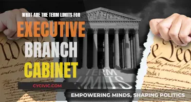 Executive Branch Cabinet: Term Limits and Tenure Rules
