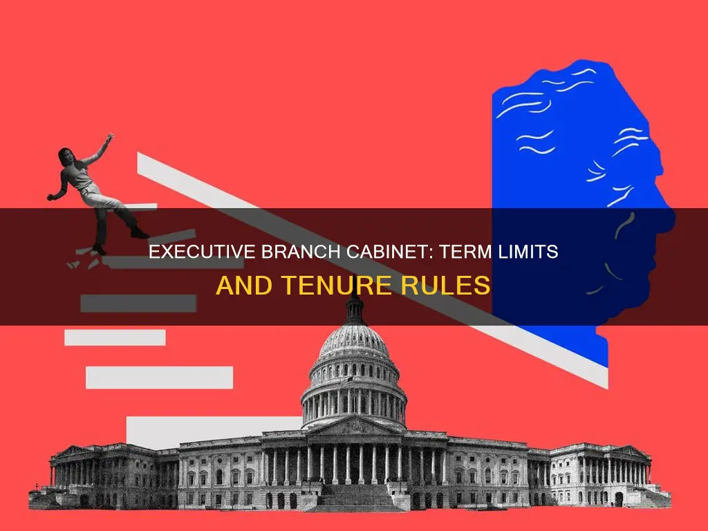 what are the term limits for executive branch cabinet