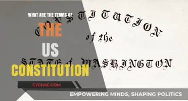 Understanding the US Constitution's Key Terms