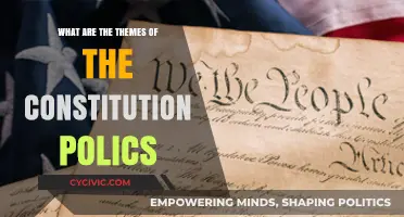 Constitution Politics: Exploring Key Themes and Their Impact