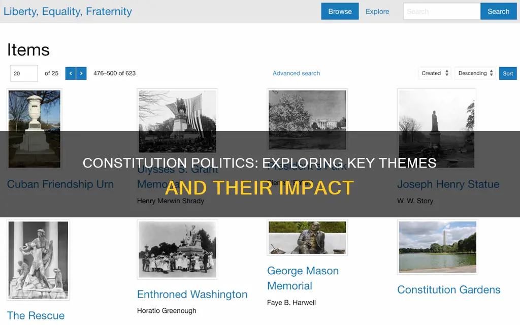 what are the themes of the constitution polics