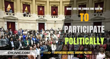 Engage, Influence, Change: Practical Ways to Participate in Politics