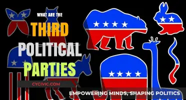 Exploring the Role and Impact of Third Political Parties in Democracy