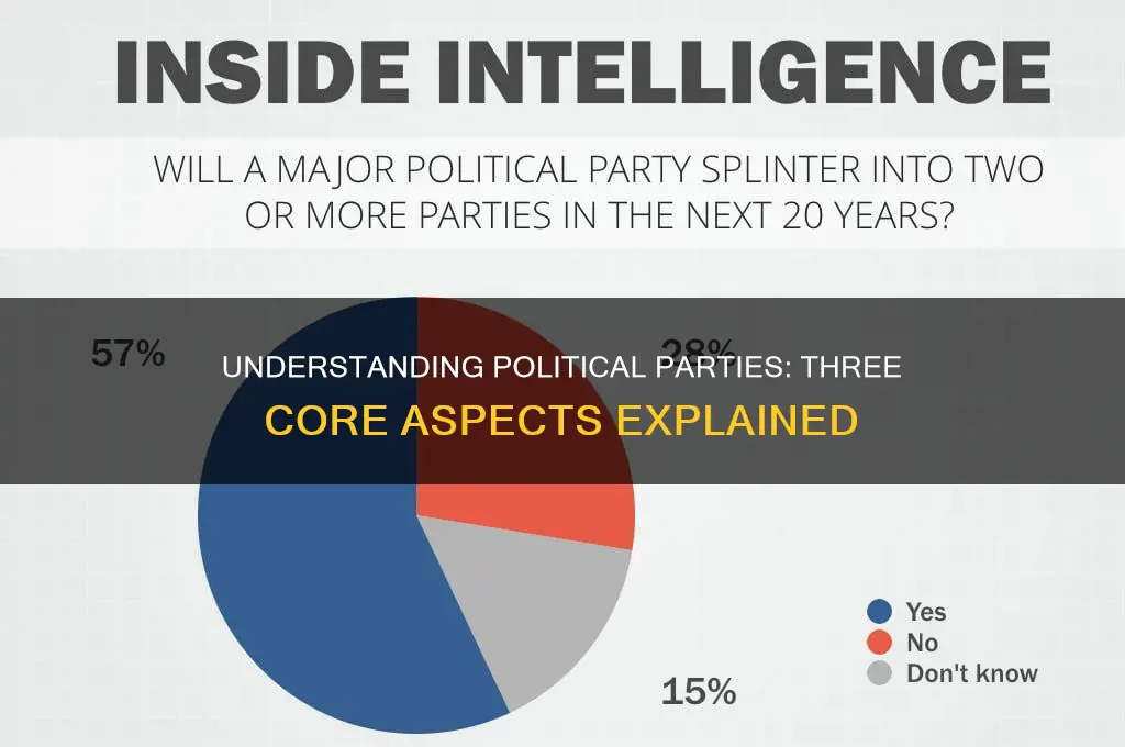 what are the three aspects of a political party