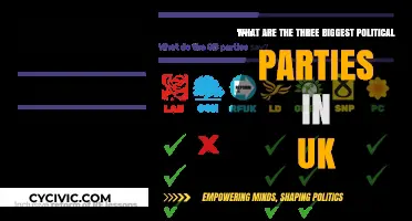 Exploring the UK's Three Largest Political Parties and Their Influence