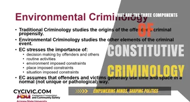 Understanding Constitutive Criminology: Three Key Components