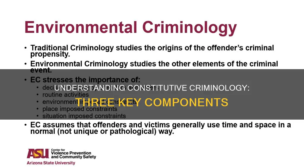 what are the three components of constitutive criminology