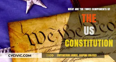 Constitution Components: 3 Pillars of US Democracy