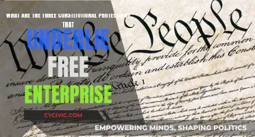 Free Enterprise: Constitutional Protections and Their Impact