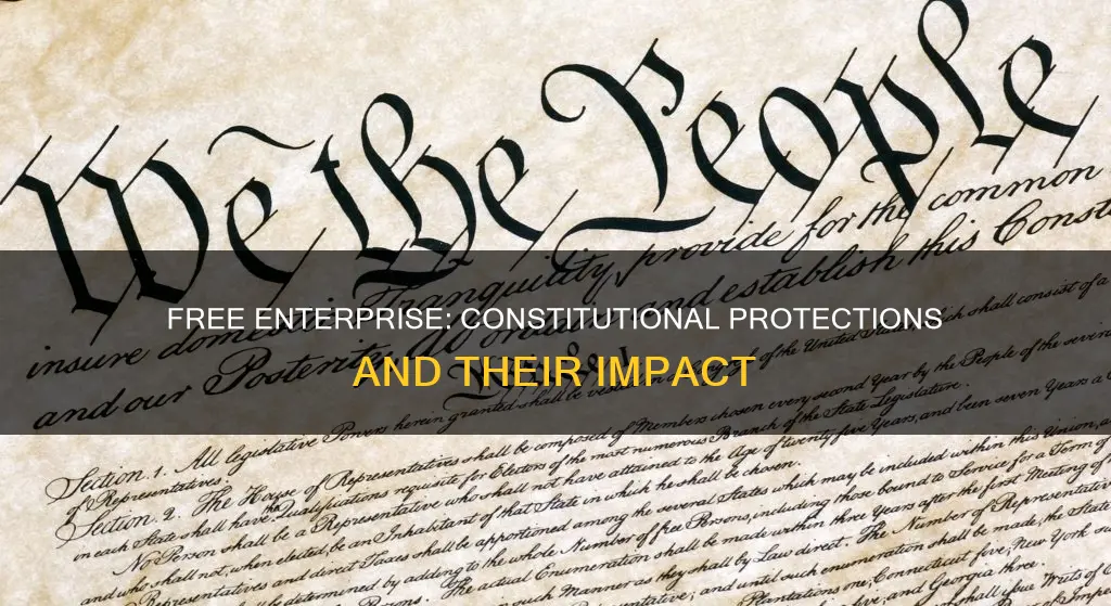 what are the three constitutional protections that underlie free enterprise