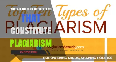 Plagiarism Acts: Understanding the 3 Types of Content Theft
