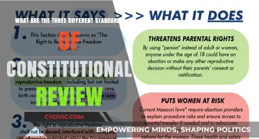 Constitutional Review Standards: Key Differences