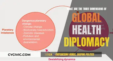 Global Health Diplomacy: Navigating 3 Complex Dimensions