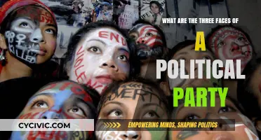 Unveiling the Ideological, Organizational, and Electoral Faces of Political Parties