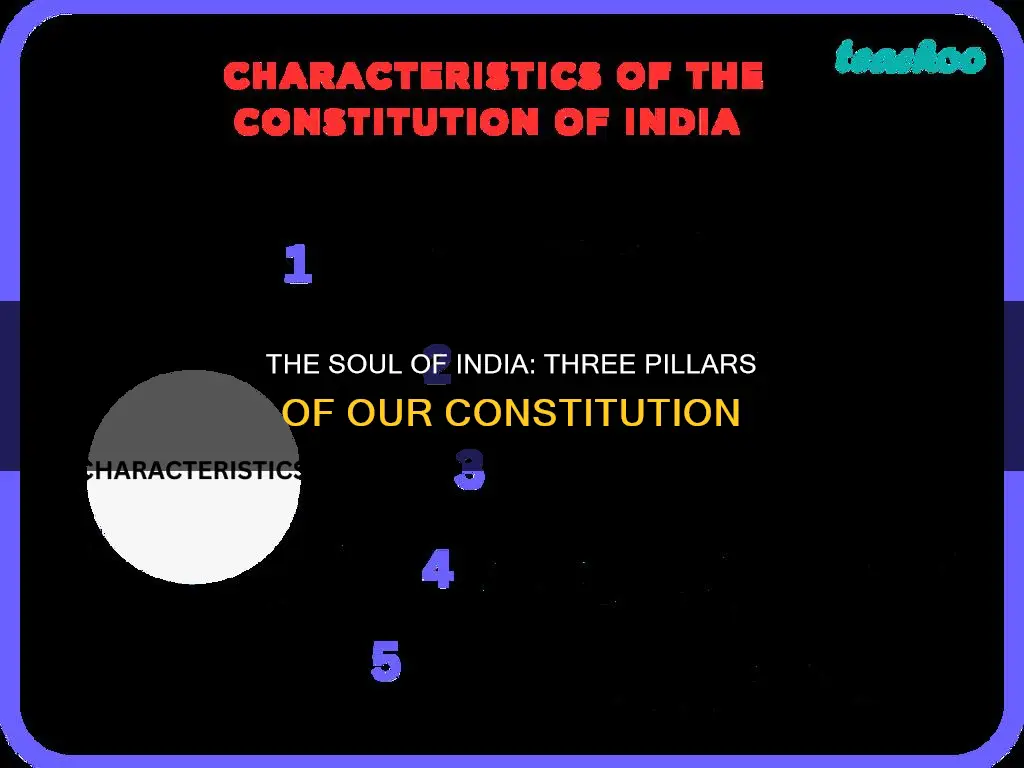 what are the three features of indian constitution