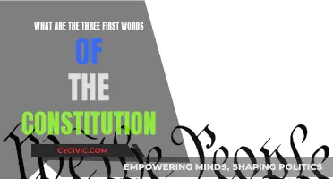 Understanding the Constitution's First Three Words: We the People