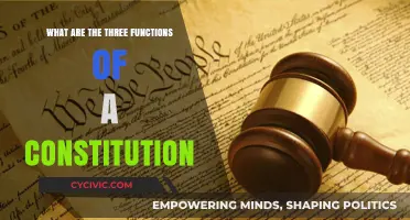 Understanding a Constitution's Core Functions