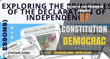 Core Principles of a Constitutional Democracy