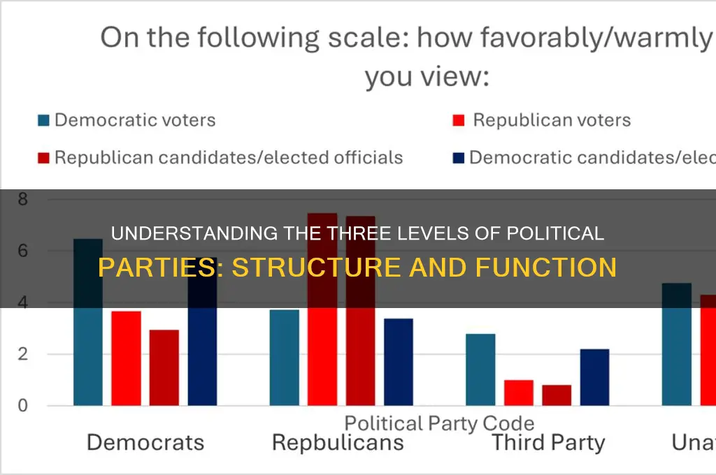 what are the three levels of political parties