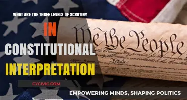 Exploring Constitutional Scrutiny: Three Levels of Interpretation