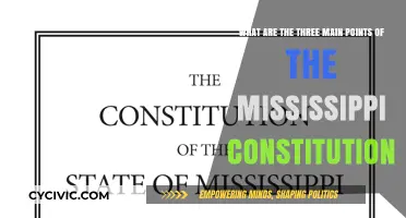 Key Principles of the Mississippi Constitution