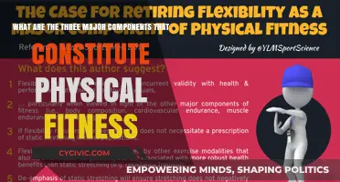 Key Components of Physical Fitness