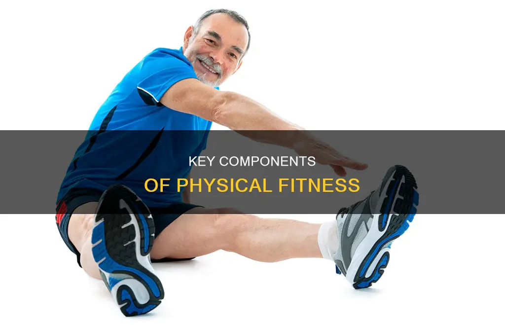 what are the three major components that constitute physical fitness