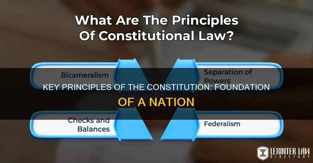 what are the three most important principles of the constitution