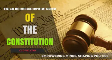 Vital Constitution Sections: Understanding the Core of Our Nation