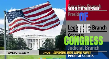 Congress Powers: Law, Money, and Oversight