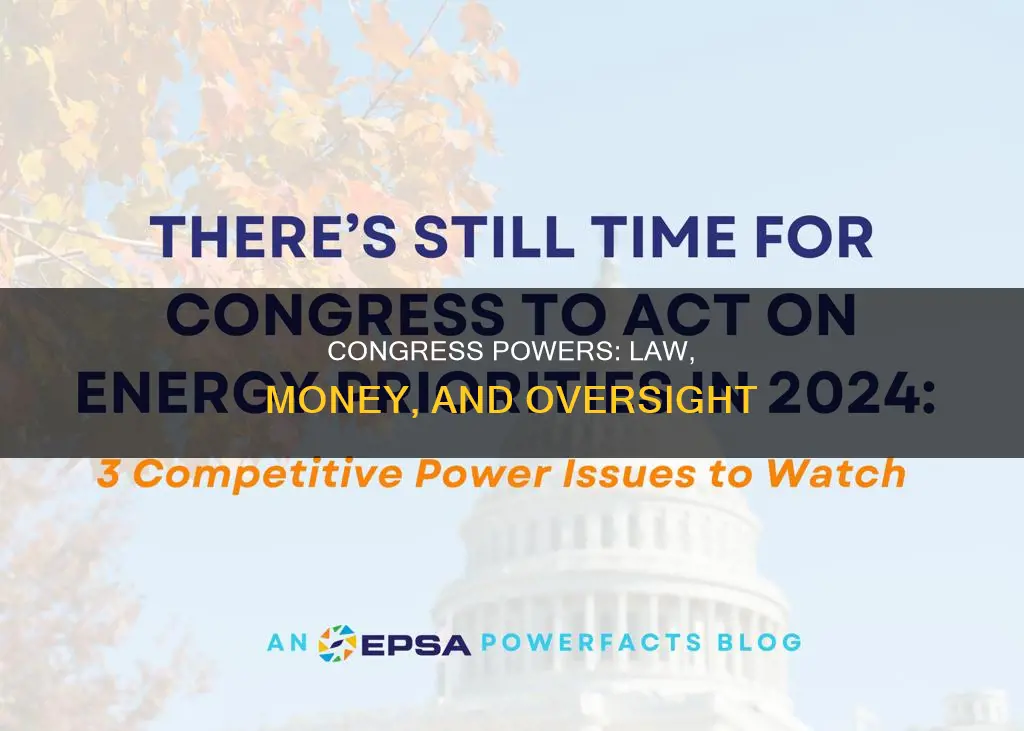 what are the three powers of the congress