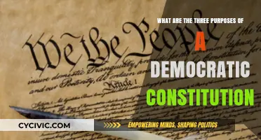 Democratic Constitution: Power, Rights, and Stability