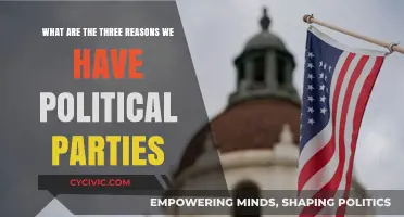 Why Political Parties Matter: Three Key Reasons for Their Existence