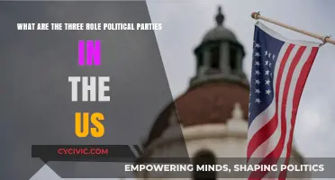 Understanding the Three Key Roles of US Political Parties