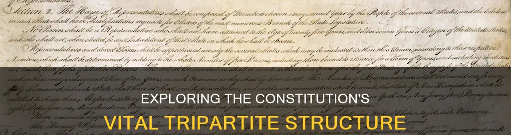 what are the three sections of the constitution