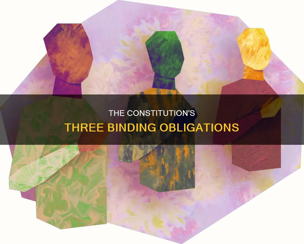 what are the three things the constitution obliges