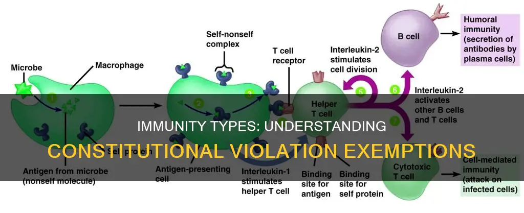 what are the three types of immunity for constitutional violations